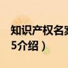 知识产权名案评析5(关于知识产权名案评析5介绍) 知识产权名案评析5(关于知识产权名案评析5介绍)