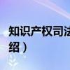 知识产权司法保护（关于知识产权司法保护介绍）