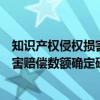 知识产权侵权损害赔偿数额确定研究（关于知识产权侵权损害赔偿数额确定研究介绍）