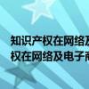 知识产权在网络及电子商务中的法律保护研究（关于知识产权在网络及电子商务中的法律保护研究介绍）