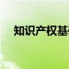 知识产权基础（关于知识产权基础介绍）