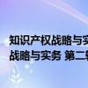 知识产权战略与实务 第二辑：诉讼案例专辑（关于知识产权战略与实务 第二辑：诉讼案例专辑介绍）
