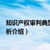 知识产权审判典型案例评析（关于知识产权审判典型案例评析介绍）