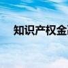 知识产权金融(关于知识产权金融介绍) 知识产权金融(关于知识产权金融介绍)