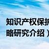 知识产权保护战略研究（关于知识产权保护战略研究介绍）