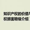 知识产权的价值与侵权损害赔偿（关于知识产权的价值与侵权损害赔偿介绍）
