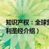 知识产权：全球营销获利圣经（关于知识产权：全球营销获利圣经介绍）