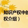 知识产权中的财产权（关于知识产权中的财产权介绍）