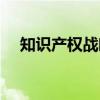 知识产权战略（关于知识产权战略介绍）