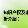 知识产权及案例评析（关于知识产权及案例评析介绍）