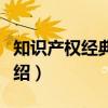知识产权经典判例（关于知识产权经典判例介绍）