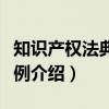 知识产权法典型案例（关于知识产权法典型案例介绍）
