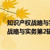 知识产权战略与实务第2辑：诉讼案例专辑（关于知识产权战略与实务第2辑：诉讼案例专辑介绍）