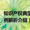 知识产权典型案例解析（关于知识产权典型案例解析介绍）