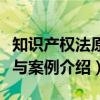 知识产权法原理与案例（关于知识产权法原理与案例介绍）