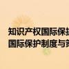 知识产权国际保护制度与策略：专利与商标（关于知识产权国际保护制度与策略：专利与商标介绍）