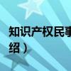 知识产权民事保护（关于知识产权民事保护介绍）