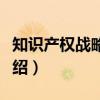 知识产权战略管理（关于知识产权战略管理介绍）