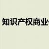 知识产权商业化（关于知识产权商业化介绍）