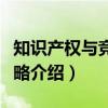 知识产权与竞争策略(关于知识产权与竞争策略介绍) 知识产权与竞争策略(关于知识产权与竞争策略介绍)
