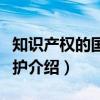知识产权的国际保护（关于知识产权的国际保护介绍）