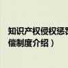 知识产权侵权惩罚性赔偿制度（关于知识产权侵权惩罚性赔偿制度介绍）
