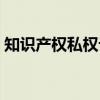 知识产权私权论（关于知识产权私权论介绍）