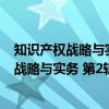 知识产权战略与实务 第2辑：诉讼案例专辑（关于知识产权战略与实务 第2辑：诉讼案例专辑介绍）