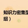 知识力密集型企业（关于知识力密集型企业介绍）