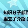 知识分子都到哪里去了（关于知识分子都到哪里去了介绍）