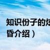知识份子的炫丽黄昏（关于知识份子的炫丽黄昏介绍）