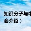 知识分子与中国社会（关于知识分子与中国社会介绍）