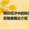 知识经济中的知识产权制度概论（关于知识经济中的知识产权制度概论介绍）