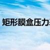 矩形膜盒压力表（关于矩形膜盒压力表介绍）