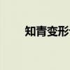 知青变形记（关于知青变形记介绍）