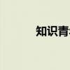 知识青年（关于知识青年介绍）