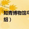 知青博物馆鸟巢展（关于知青博物馆鸟巢展介绍）