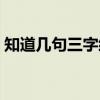 知道几句三字经（关于知道几句三字经介绍）