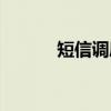 短信调度（关于短信调度介绍）