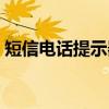 短信电话提示器（关于短信电话提示器介绍）
