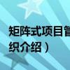 矩阵式项目管理组织（关于矩阵式项目管理组织介绍）