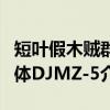短叶假木贼群体DJMZ-5（关于短叶假木贼群体DJMZ-5介绍）