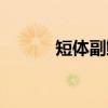 短体副鳅（关于短体副鳅介绍）