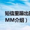 短信里蹦出的PLMM（关于短信里蹦出的PLMM介绍）