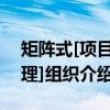 矩阵式[项目管理]组织（关于矩阵式[项目管理]组织介绍）