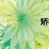 矫枉（关于矫枉介绍）