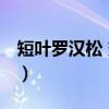短叶罗汉松 变种（关于短叶罗汉松 变种介绍）