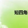 短四角菱（关于短四角菱介绍）