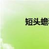 短头蟾科（关于短头蟾科介绍）