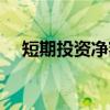 短期投资净额（关于短期投资净额介绍）